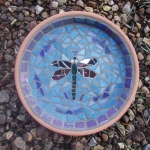 birdbath-dragonfly